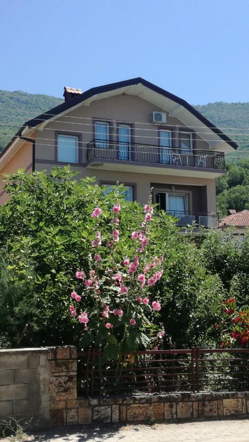 Guesthouse Zimovski Pestani Exterior photo